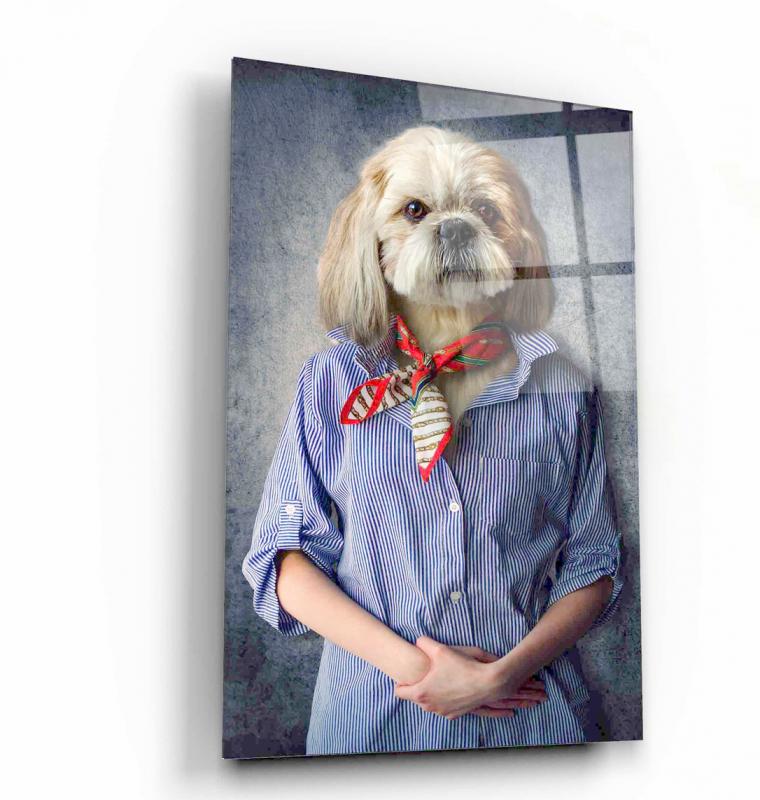 Köpek Dikey Cam Tablo