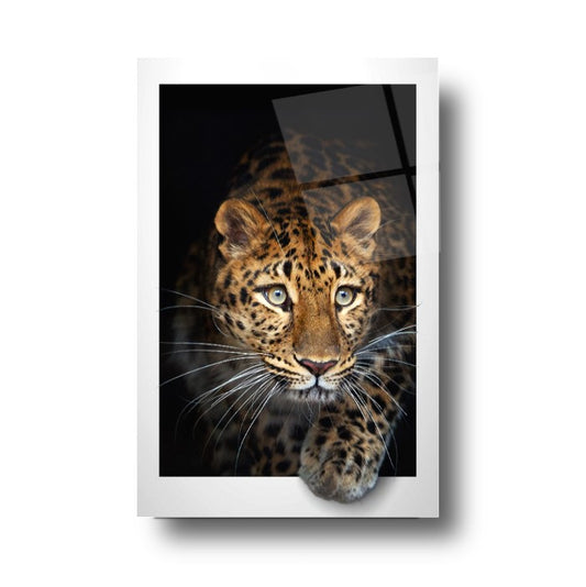 Leopar Dikey Cam Tablo
