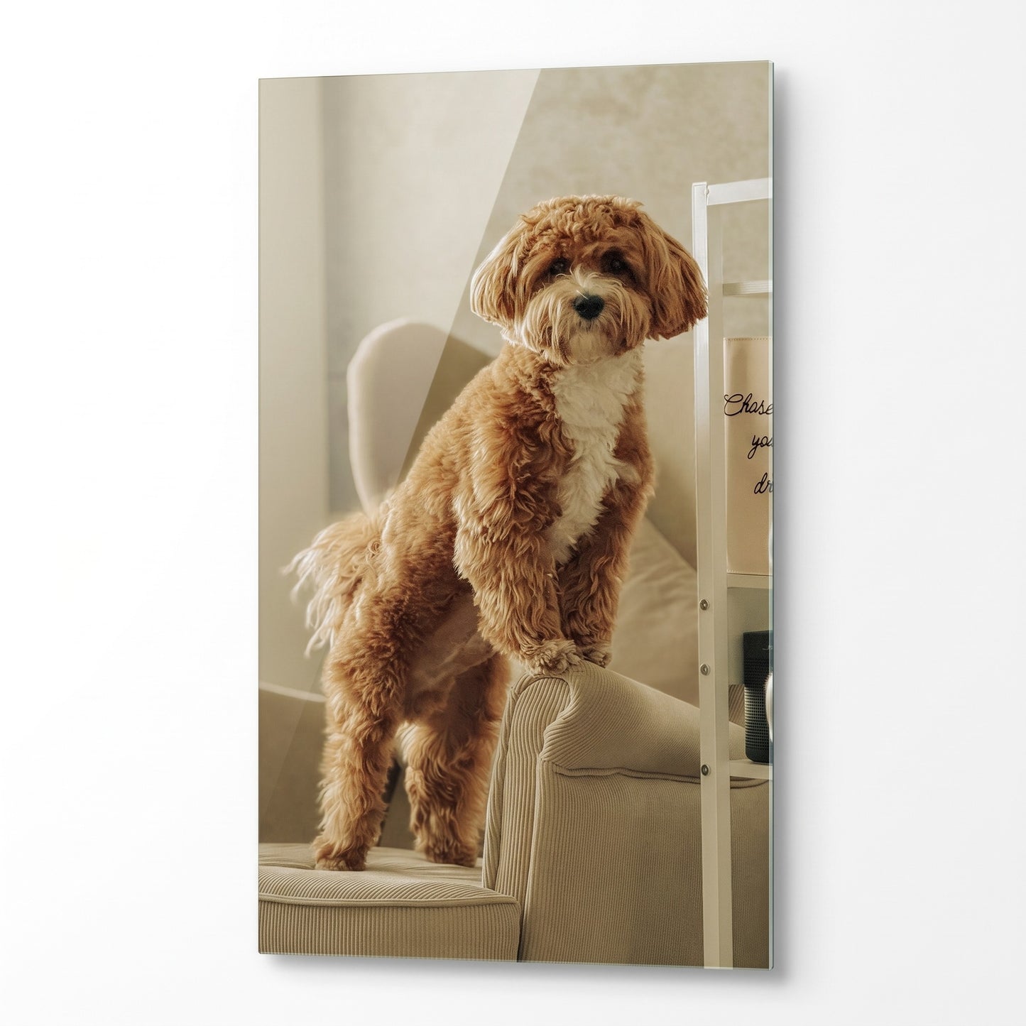 Koltukta Duran Tatlı Poodle Köpek Dikey Cam Tablo