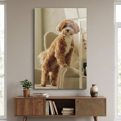 Koltukta Duran Tatlı Poodle Köpek Dikey Cam Tablo