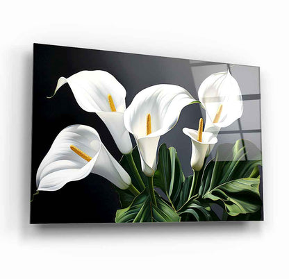 Beyaz Gala Çiçeği Kırılmaz Gerçek Cam Tablo