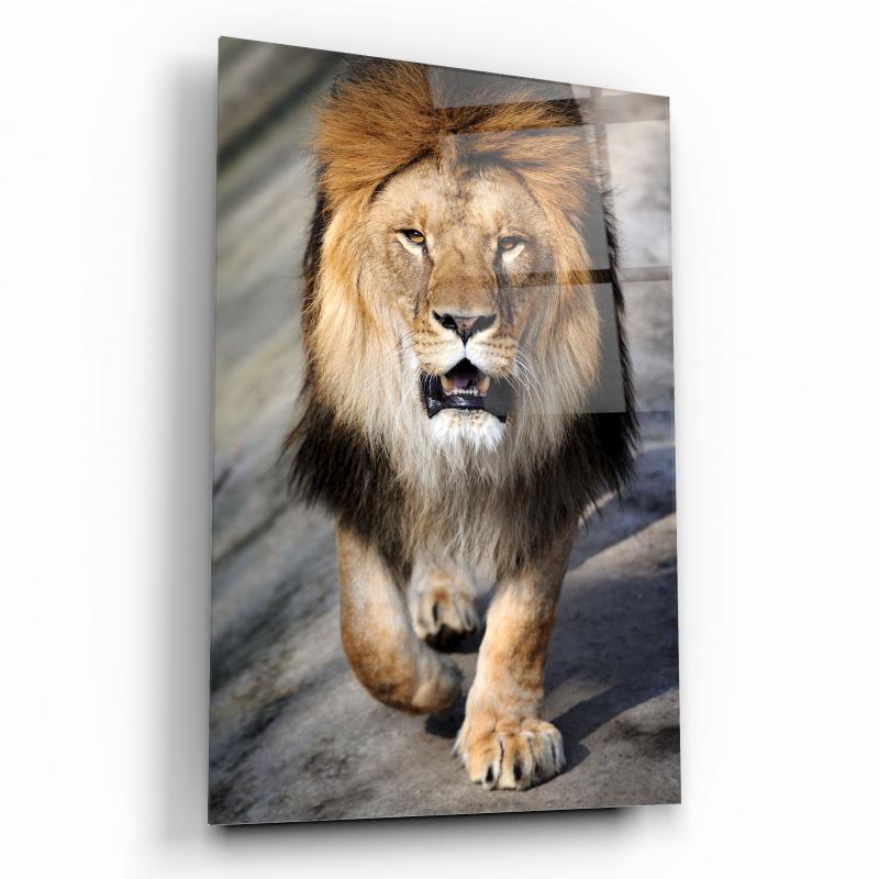 Aslan Dikey Cam Tablo