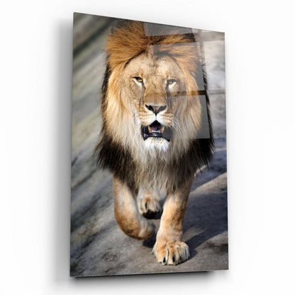 Aslan Dikey Cam Tablo
