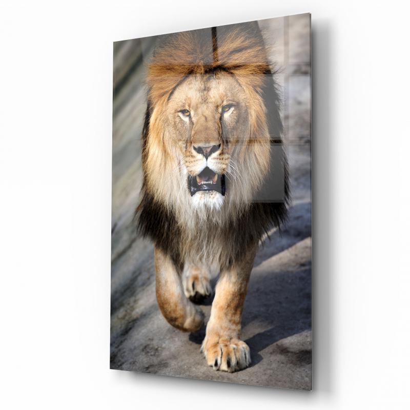 Aslan Dikey Cam Tablo