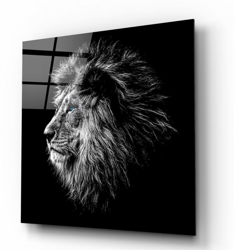 Aslan Kare Cam Tablo