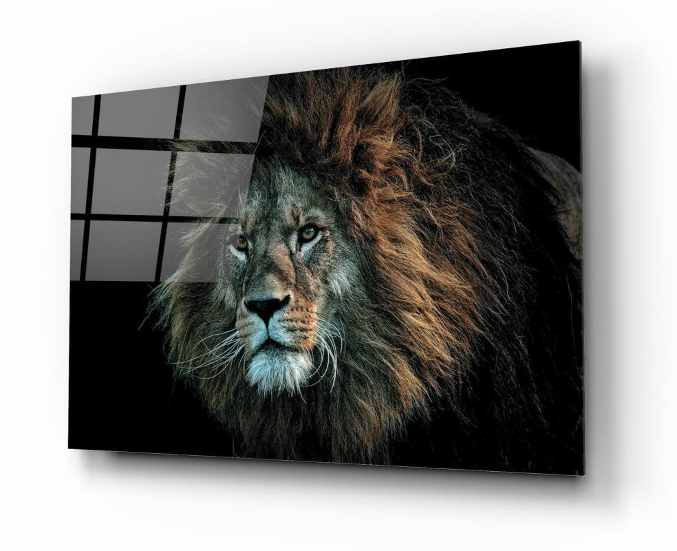Aslan Yatay Cam Tablo