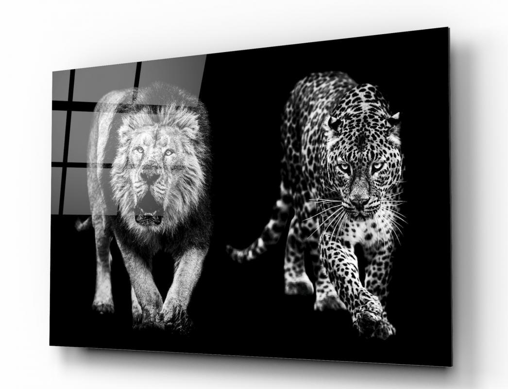 Aslan ve Leopar Yatay Cam Tablo