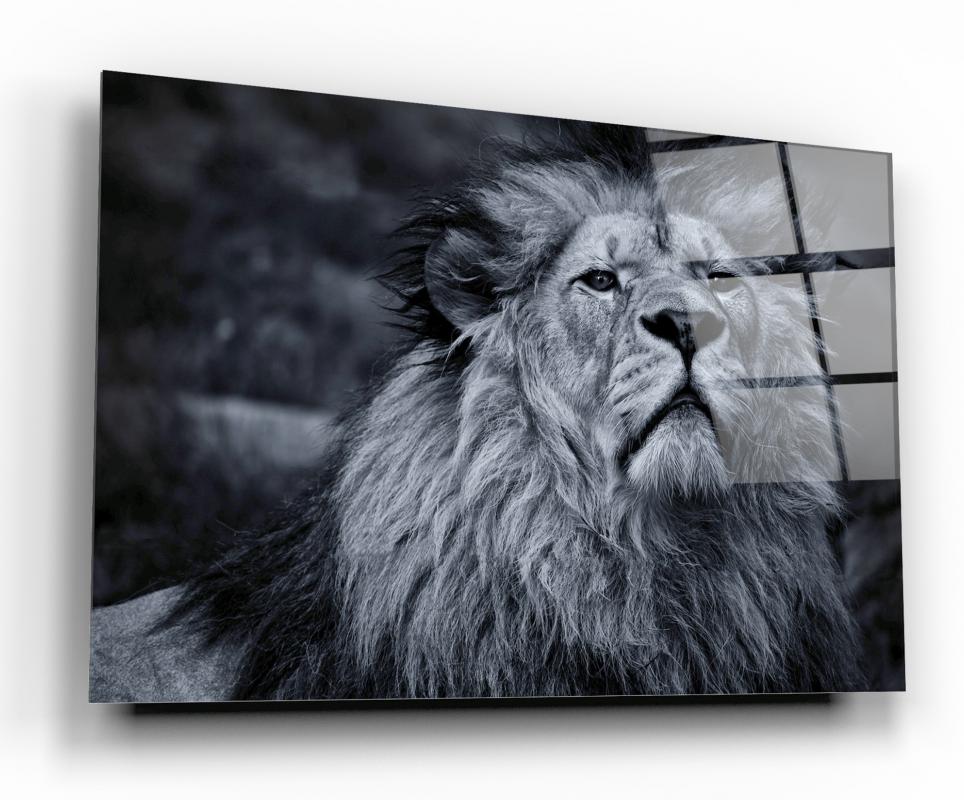 Aslan Yatay Cam Tablo