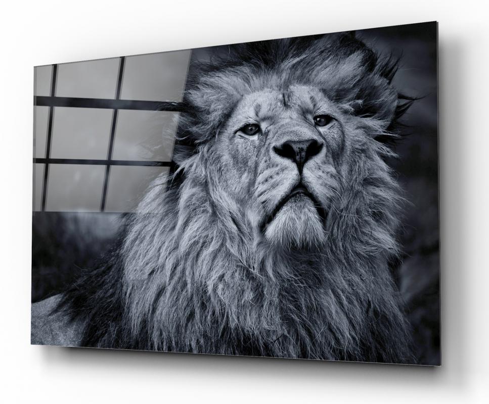 Aslan Yatay Cam Tablo