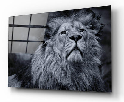 Aslan Yatay Cam Tablo