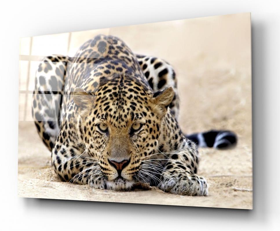 Leopar Yatay Cam Tablo