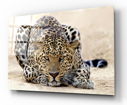 Leopar Yatay Cam Tablo