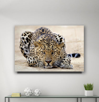 Leopar Yatay Cam Tablo
