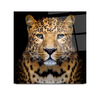 Leopar Kare Cam Tablo