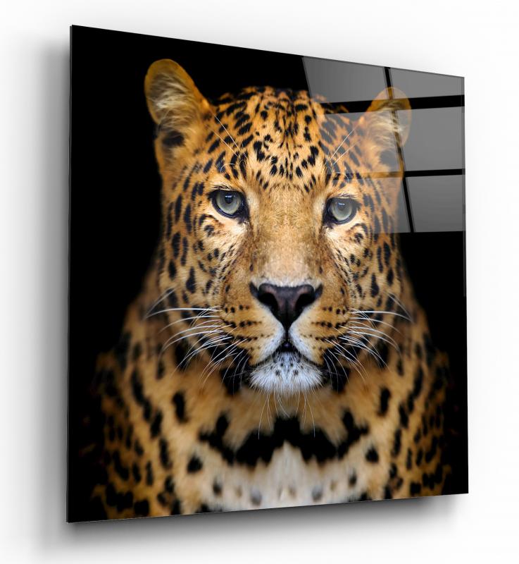 Leopar Kare Cam Tablo