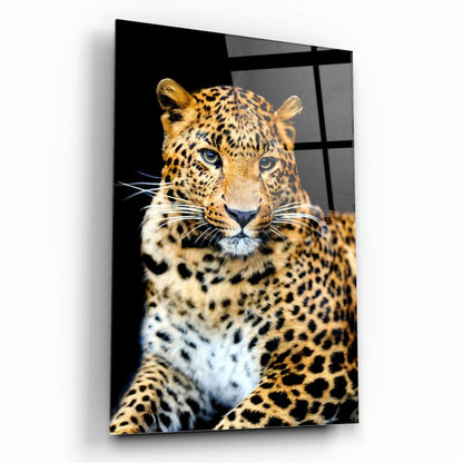 Leopar Dikey Cam Tablo