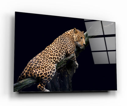 Leopar Yatay Cam Tablo