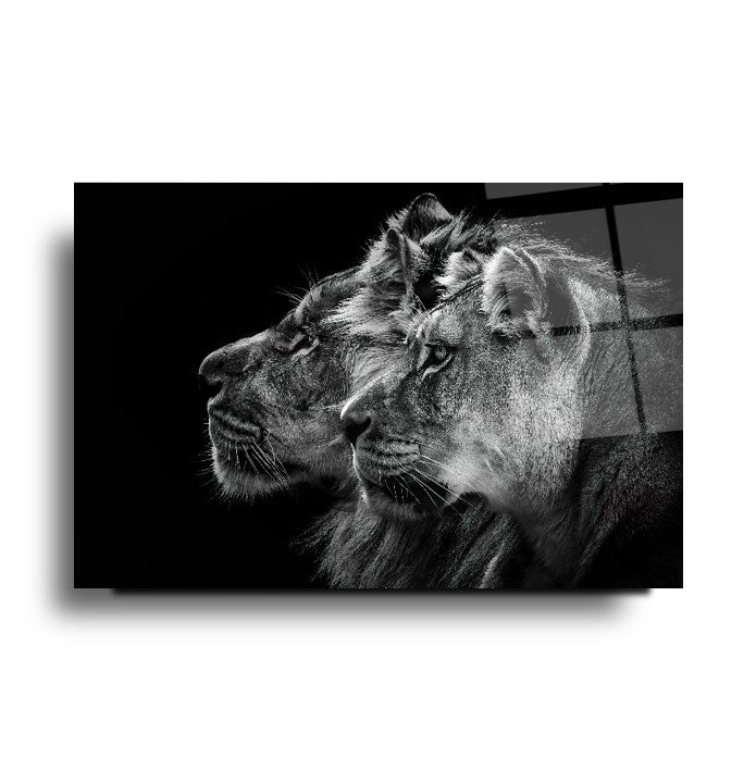 Aslan Yatay Cam Tablo