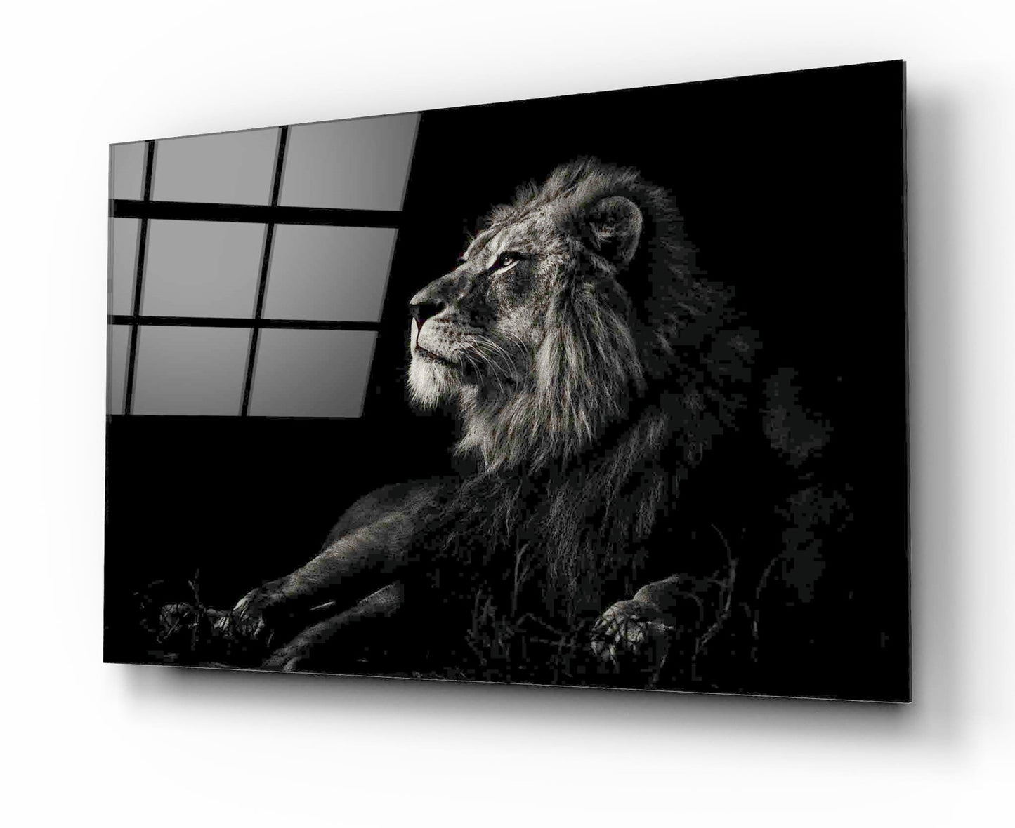 Aslan Yatay Cam Tablo