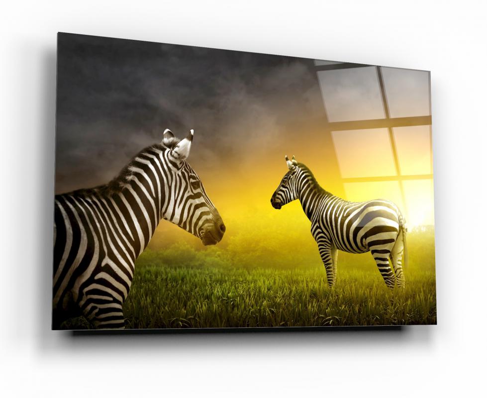 Zebra Yatay Cam Tablo